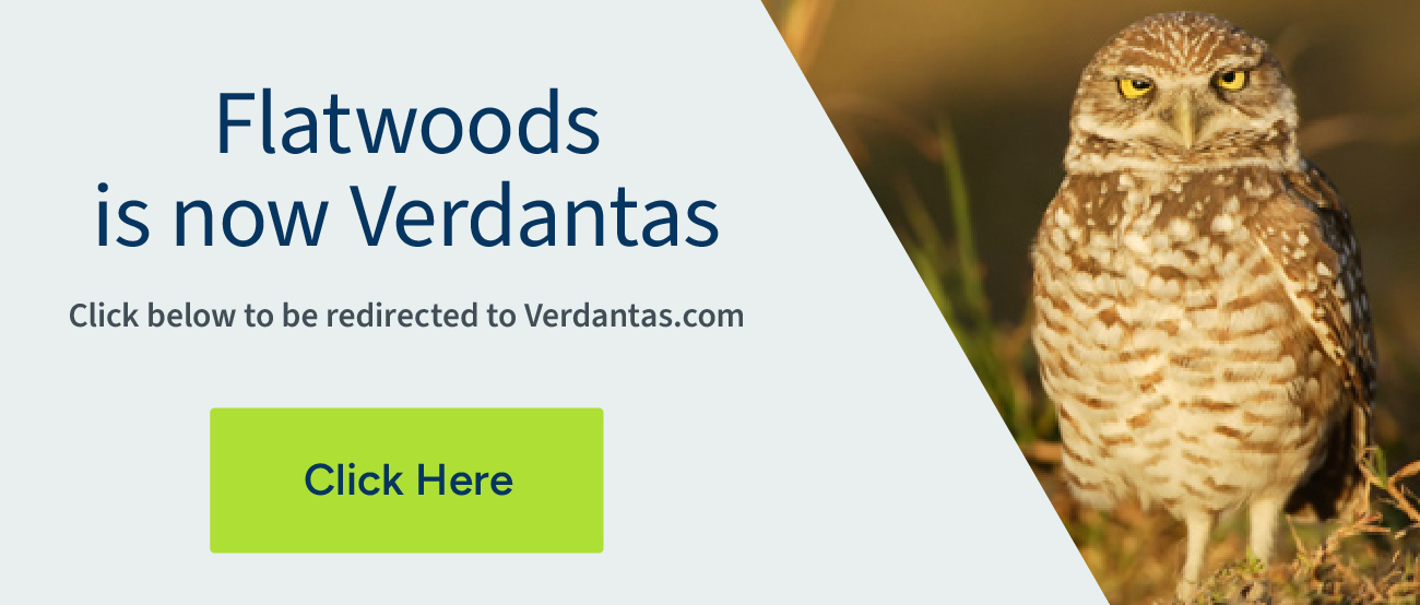 Flatwoods is now Verdantas. Click to be redirected to Verdantas.com.